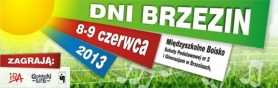 Bajka o Brzezinach