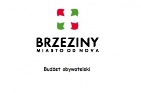 Budżet obywatelski